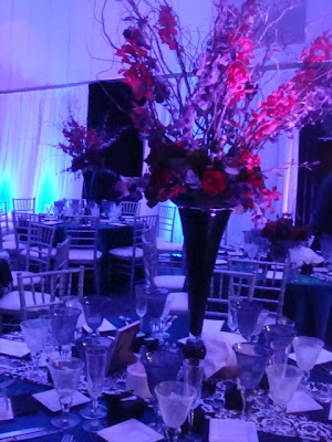 Brookside Gardens wedding pipe and drape lighting chivary chairs 