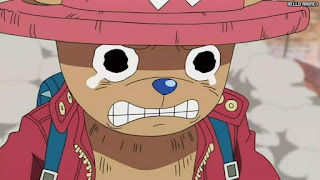 ワンピース アニメ エニエスロビー編 272話 チョッパー Tony Tony Chopper | ONE PIECE Episode 272 Enies Lobby