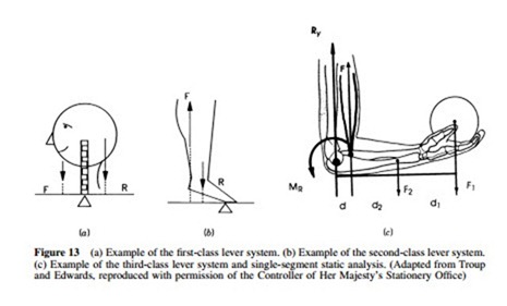 Physical Tasks Analysis, Design, and-0030