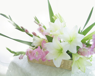 Basket White Pink Flowers Wallpaper