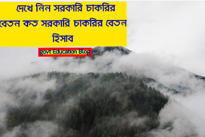 সরকারি চাকরি বেতন, সরকারি চাকরি বেতন স্কেল, সরকারি চাকরি বেতন হিসাব, সরকারি চাকরি বেতন গ্রেড, সরকারি চাকরি বেতন বৃদ্ধি, সরকারি চাকরি বেতন কাঠামাে, সরকারি চাকরি বেতন, সরকারি চাকরি বেতন ভাতা, সরকারি চাকরি বেতন বাড়বে, সরকারি চাকরি বেতন কত, government job salary, government job salary scale, government job salary grade, government job salary list