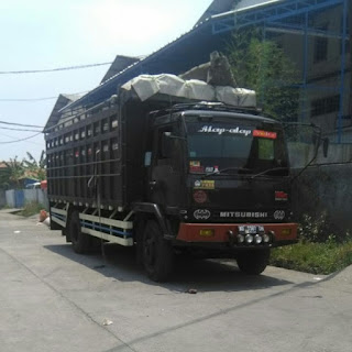 Jenis truk di Indonesia (fuso)