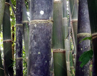 Pengrajin bilik bambu murah Sukabumi