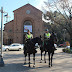Carabineros  implementó patrullajes montados por las calles de Linares