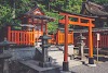 Must Visit Historical Sites in Tokyo