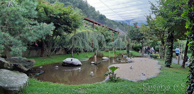 Parc Animalier des Pyrénées