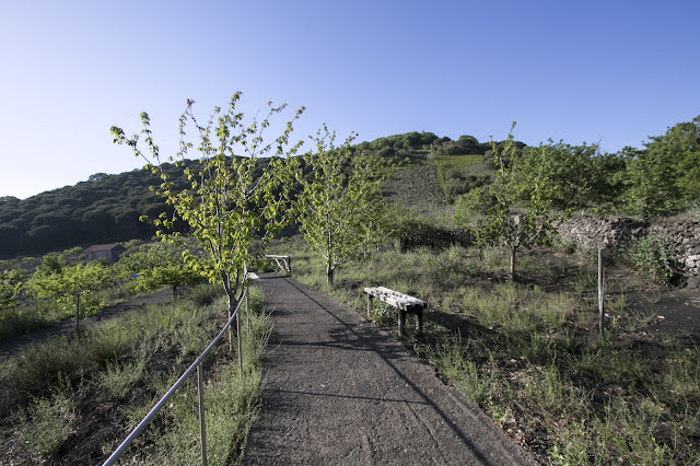 Parco dell'Etna-Sentiero del germoplasma