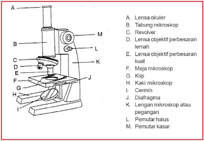 15 Bagian Bagian Mikroskop  Cahaya Beserta Fungsi dan 