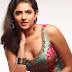 Deeksha Seth hot images