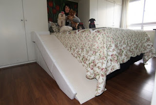rampa para camas altas com guard rail, cães com deficiência visual