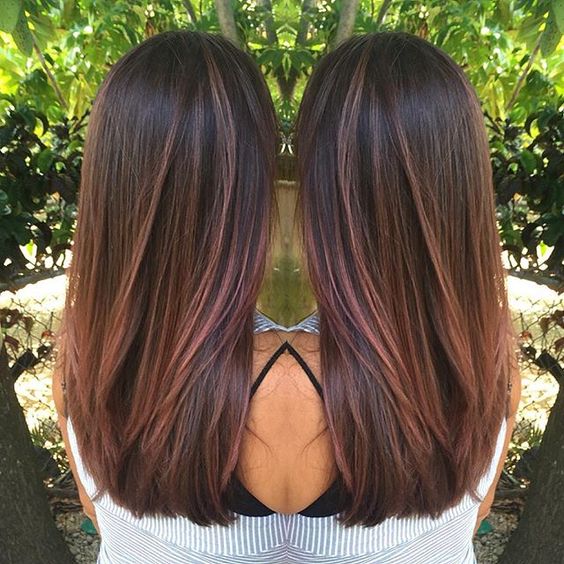 rich chocolate brown with a touch of rose highlights