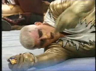 WWF / WWE - IN YOUR HOUSE 8 - BEWARE OF DOG - Goldust narrowly beat The Undertaker with help from Mankind