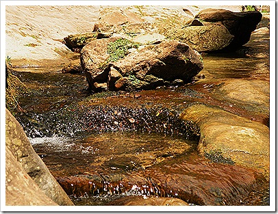 DSCN2788