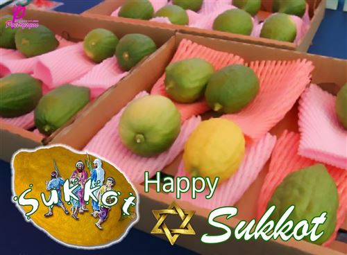 Best Correct Greeting For Sukkot