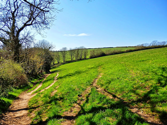 Green Fields on Hall Walk, Cornwall