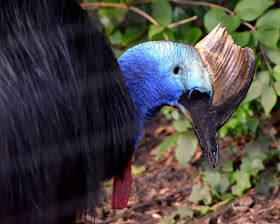 "Party With the Past", #AHCParty, Zoo Atlanta