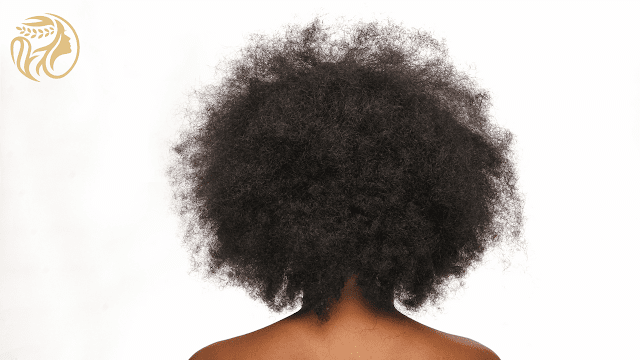 Shampoing cheveux afro