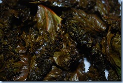 kale 003
