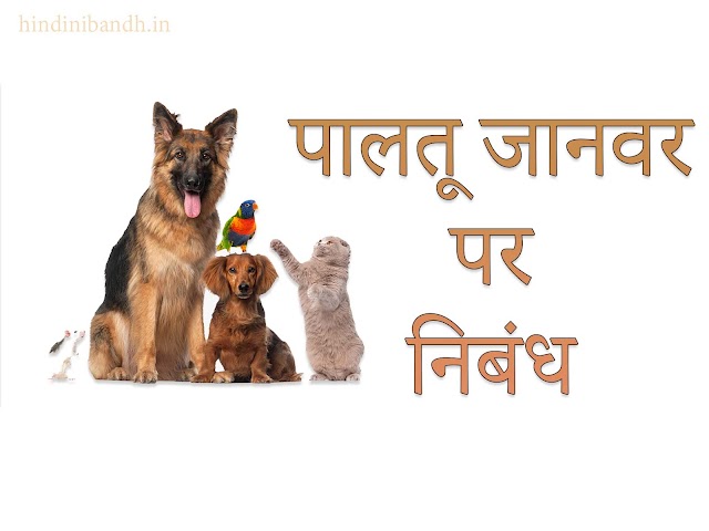 पालतू जानवर पर निबंध हिंदी में | Pets Hindi Essay | 250 Words