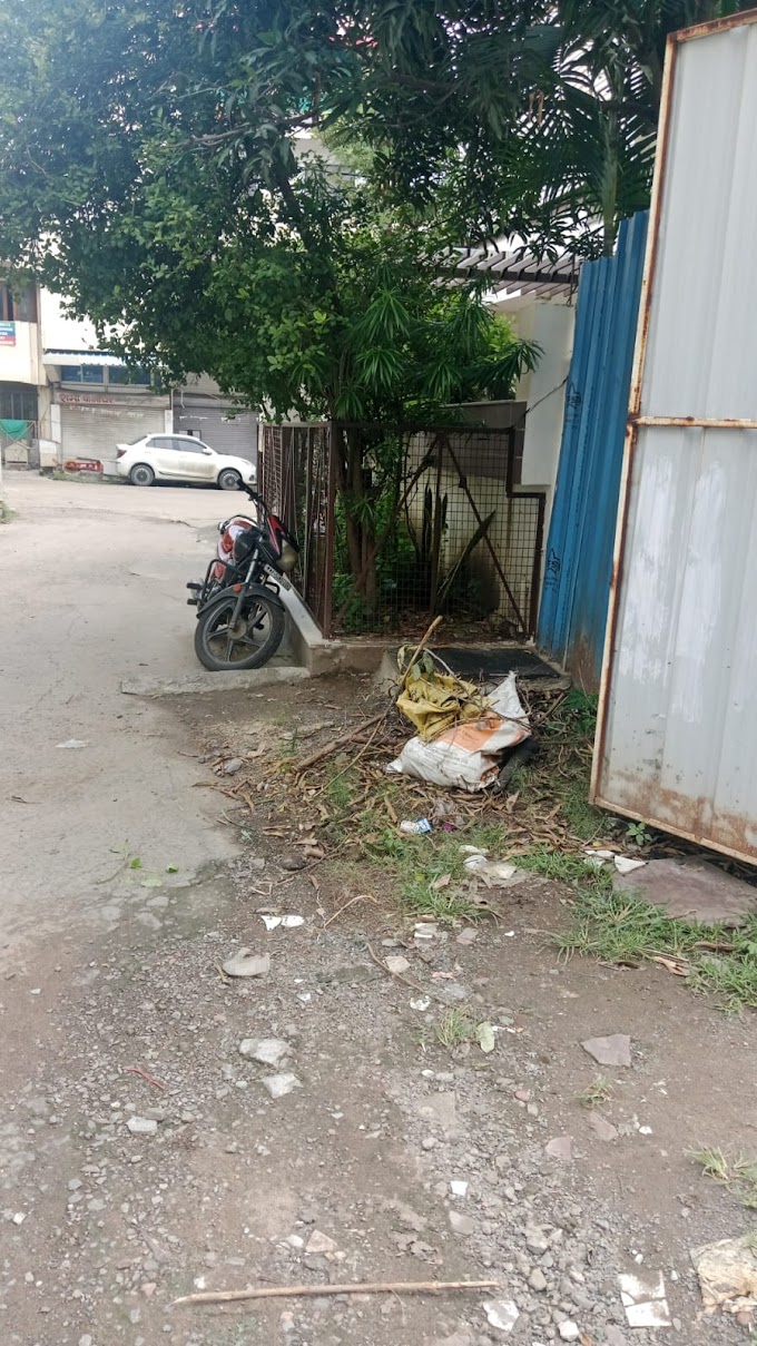 भोपाल तिरलगा सोसायटी  में डेंगू का लारवा पैर पसारता हुआ बीमारी चरम सीमा पर  जिम्मेदार निस्क्रीय।