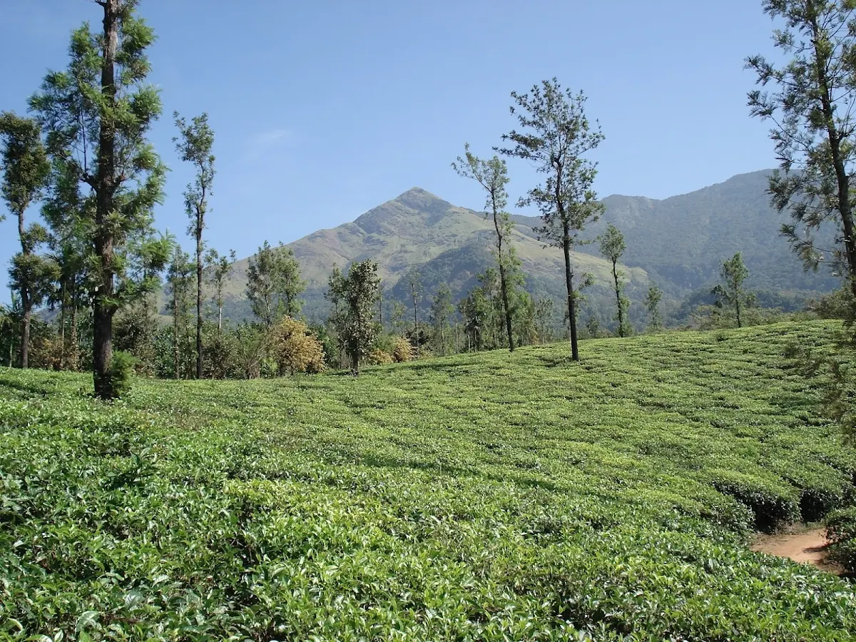 places to visit in wayanad