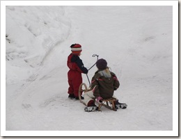 Lauterbrunnen - Detalhes - IMG_4389