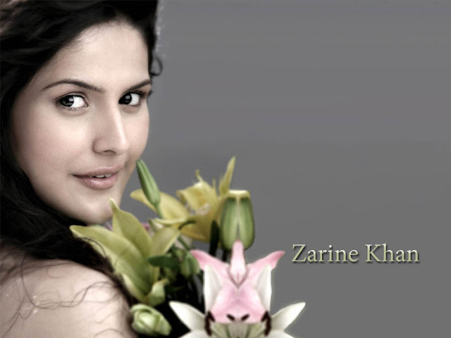 zarine khan hot photos & zarine khan hot pictures