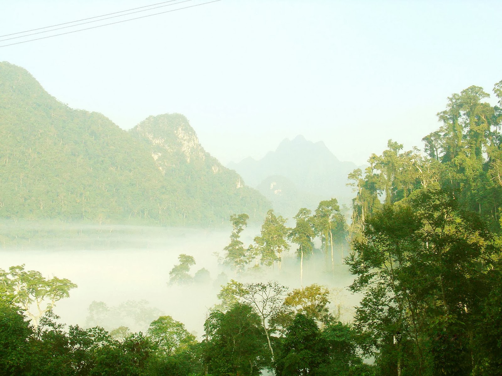 Rừng quốc gia Xuân Sơn, Phú Thọ