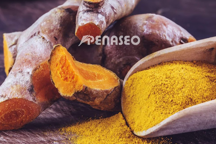 Khasiat Temulawak Untuk Asam Lambung Sebagai Obat Herbal