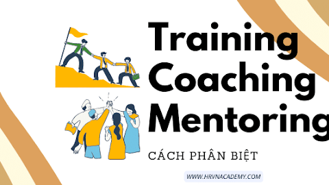 Training, Coaching và Mentoring là gì? Cách phân biệt Training, Coaching và Mentoring