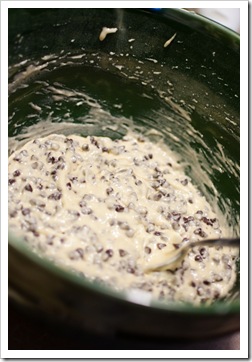 Chocolate Chip Muffins5