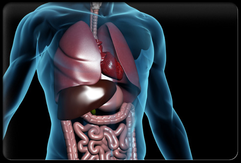 diseases of digestive system. diseases of digestive system.