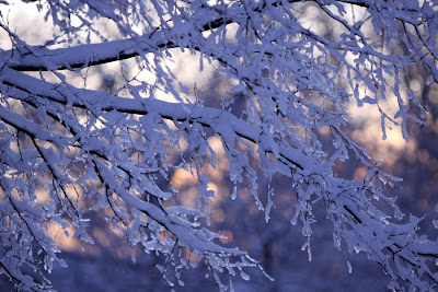 Sunset Icicles