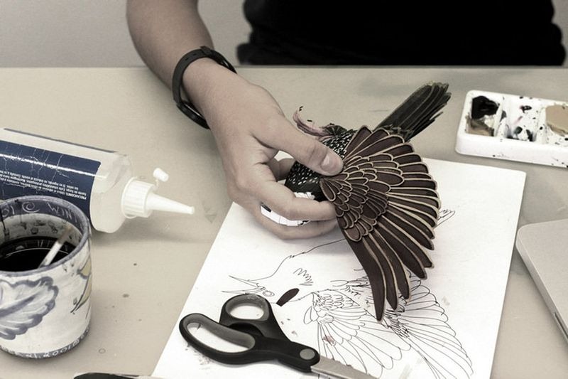 diana-beltran-herrera-birds-3