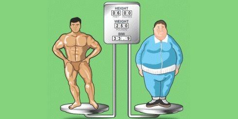 Fat and muscular men comparision