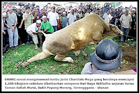 Ibadah Qurban - Aidiladha