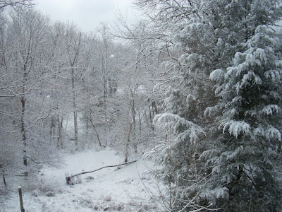 1st snow of the year by f. lennox campello