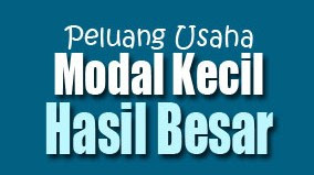 Peluang Bisnis Dengan Modal Kecil