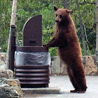 Stock Market Bear at Trash Can