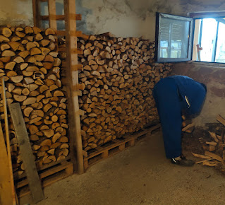 So much wood stored for winter