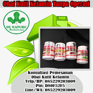 Obat Kutil Kelamin