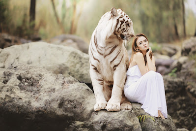 Best Canon Cameras for Portraits