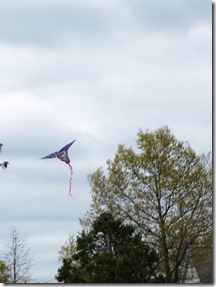 DSCF0957