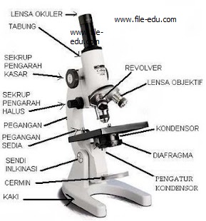 Mikroskop Cahaya