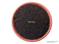 Cowdung compost manure