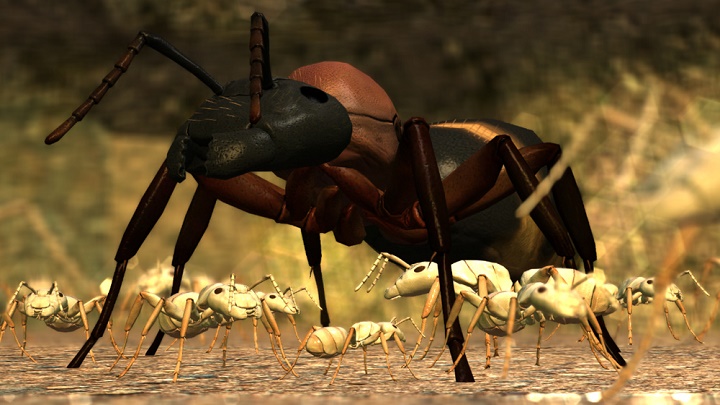 Ant Simulator has been cancelled