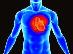 Le malattie cardiovascolari: se ne discute col Dott. Ottani su Rete Unificata