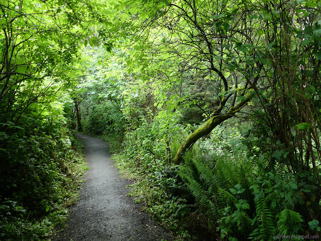 green tunnel