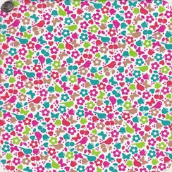 cotton 16 (IM)