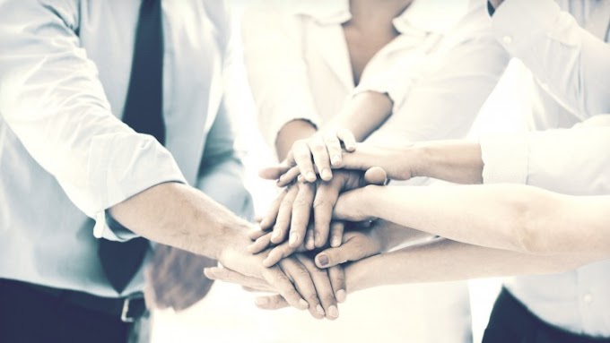 Startup & Go - First Steps to Building a Technology Company [100% Off]